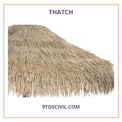 Thatch