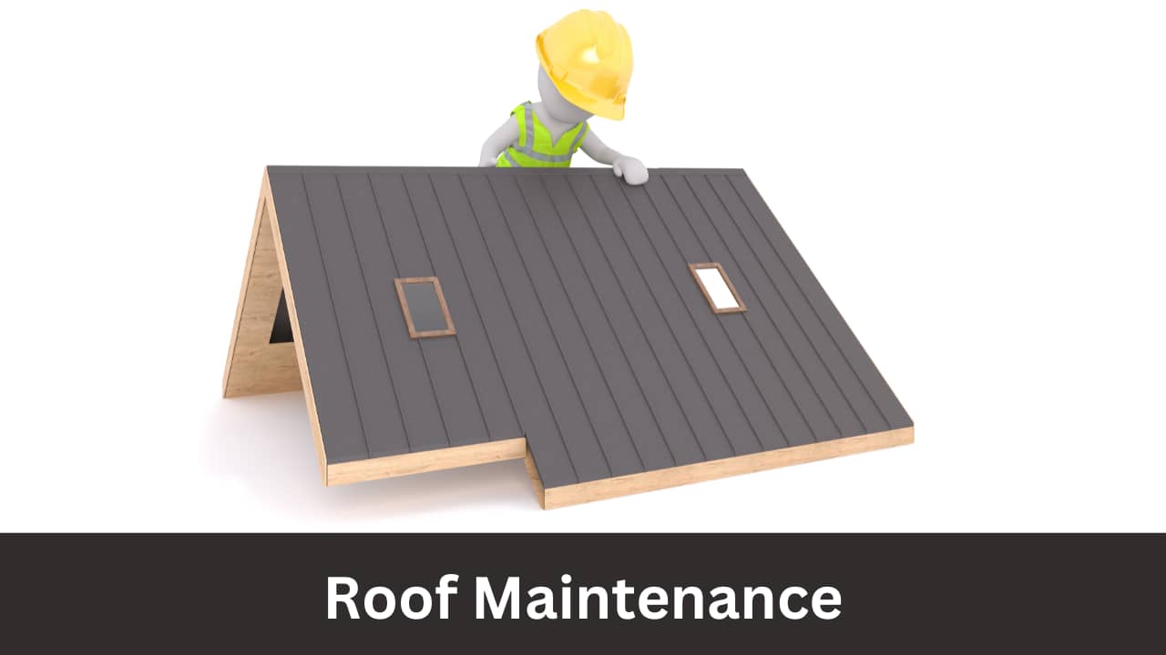 Roof Maintenance