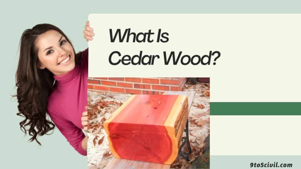What Is Cedar Wood