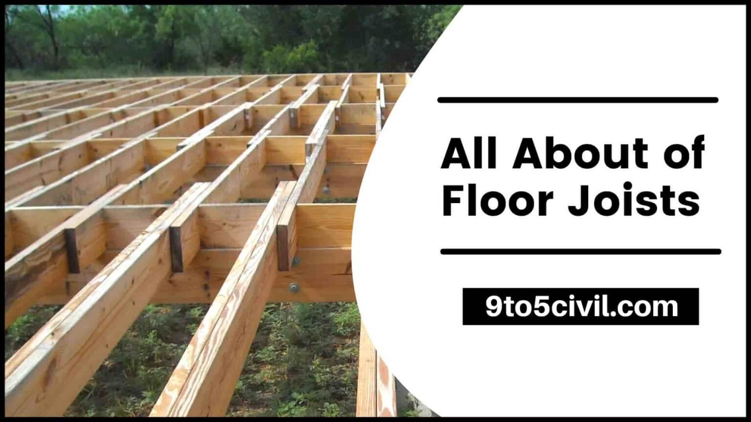 Floor Trusses vs Floor Joist