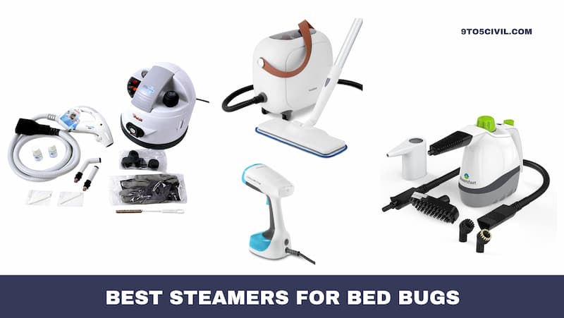 Best Steamers for Bed Bugs