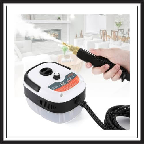 9 Best Steamer For Bed Bugs