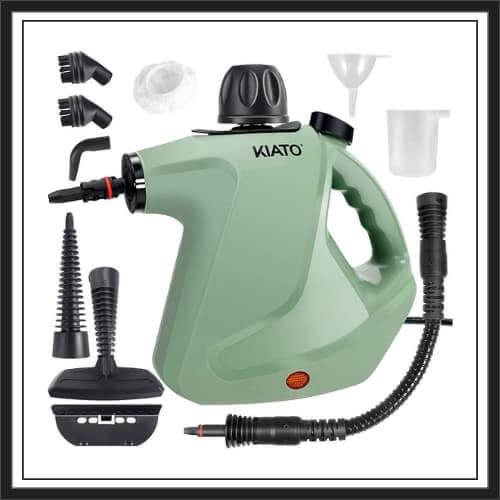 9 Best Steamer For Bed Bugs